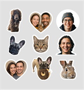 Photo stickers on sheets